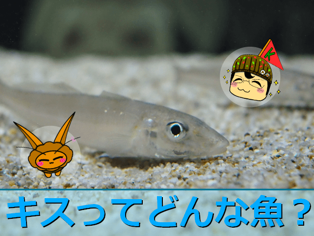 Thumbnail of post image 025